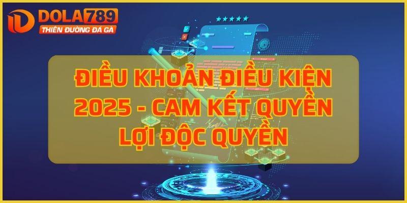 điều khoản điều kiện