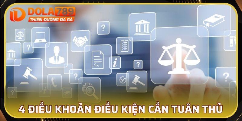 4 điều khoản điều kiện bạn cần tuân theo tại DOLA789